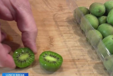 Manfaat Buah Kiwi Berry bagi Kesehatan Tubuh Manusia