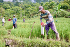 Manfaat Pasang Patok Tanah, Salah Satunya Ini 