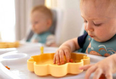 Belajar Makan Sendiri Sejak Dini, Inilah Ide Finger Food MPASI yang Sehat dan Bergizi