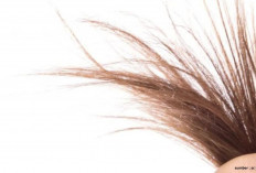 Cara Alami Atasi Rambut Bercabang